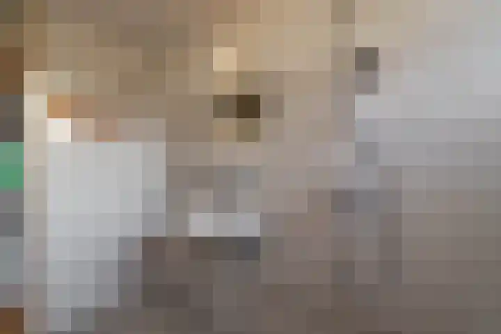 Anna Bijnspad 5 Haren Gn thumbnail 16