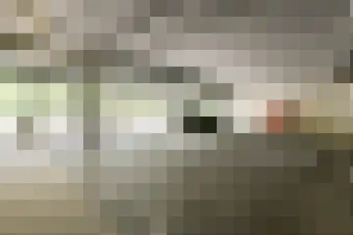 Anna Blamansingel 82 Amsterdam thumbnail 18