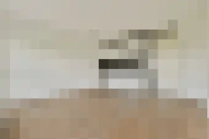 Anna Blamansingel 82 Amsterdam thumbnail 25
