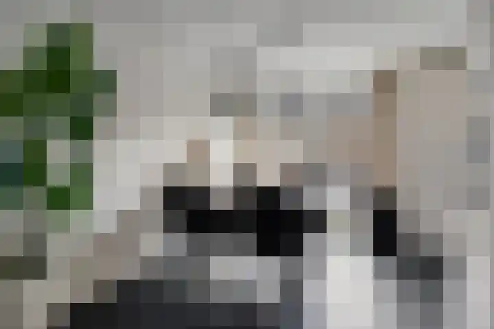 Anna Blamanstraat 14 Dongen thumbnail 14