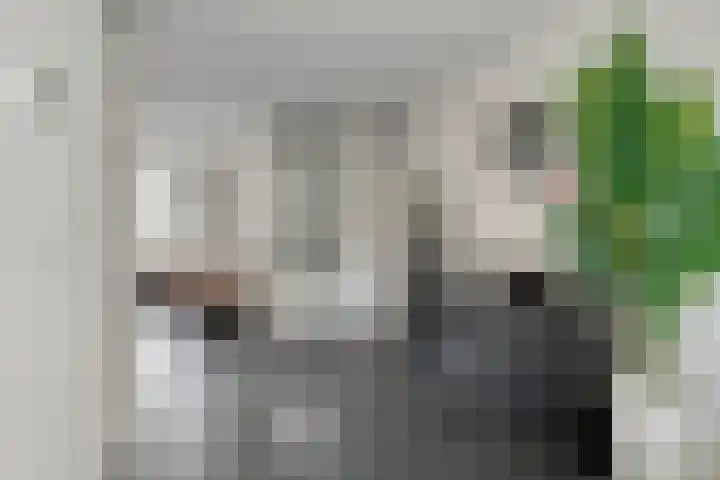 Anna Blamanstraat 14 Dongen thumbnail 15