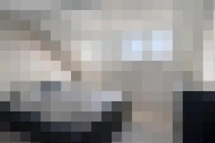 Anna Blamanstraat 14 Dongen thumbnail 31