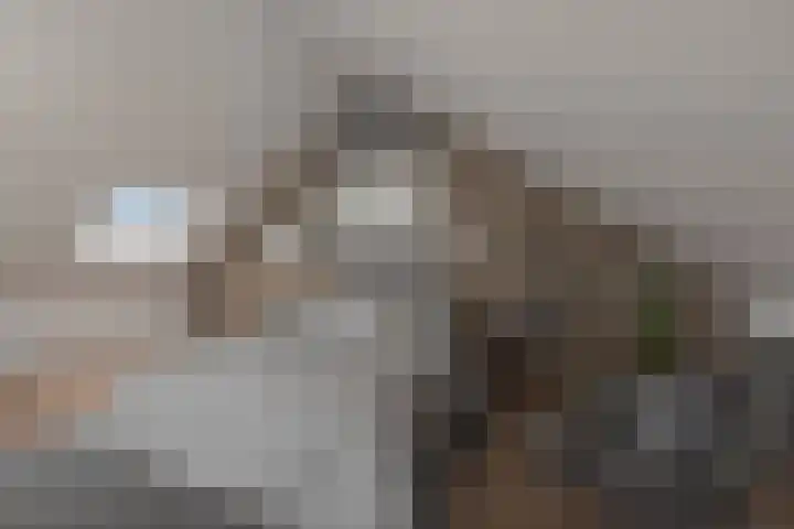 Anna Blamanstraat 41 Rijen thumbnail 23