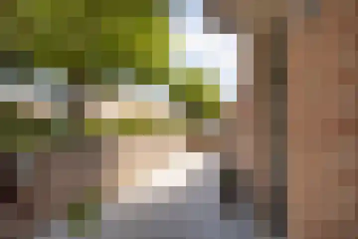 Anna Blamanstraat 82 Hoofddorp thumbnail 31