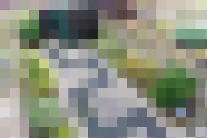 Anna Hoeve 10 Gouda thumbnail 45
