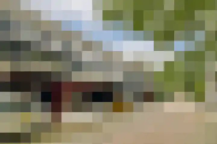 Anna Hoeve 14 Gouda thumbnail 6