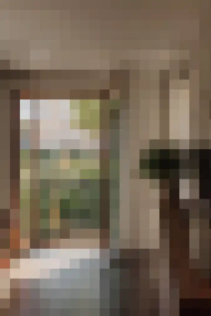 Anna Horstinkstraat 106 Weesp thumbnail 10