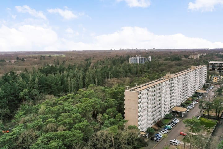 Anna Paulownalaan 172 in Zeist foto