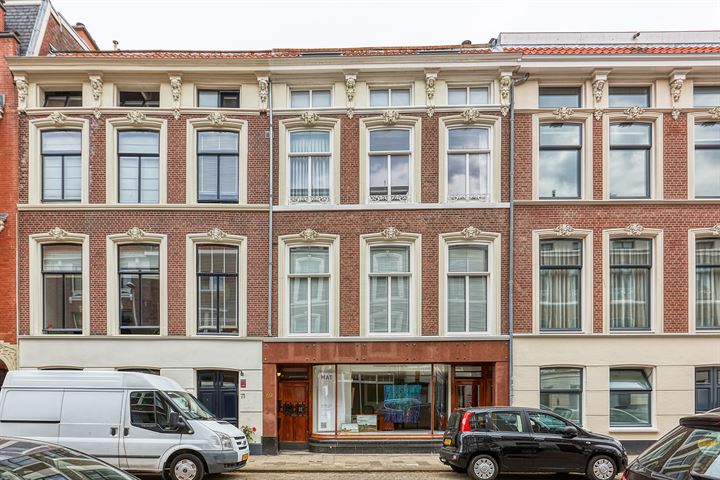 Anna Paulownastraat 69B in 's-Gravenhage foto