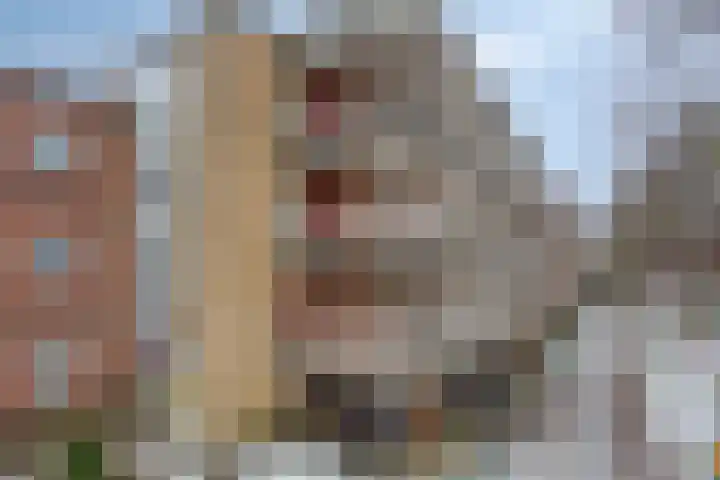Anna van Burenlaan 74 Ede