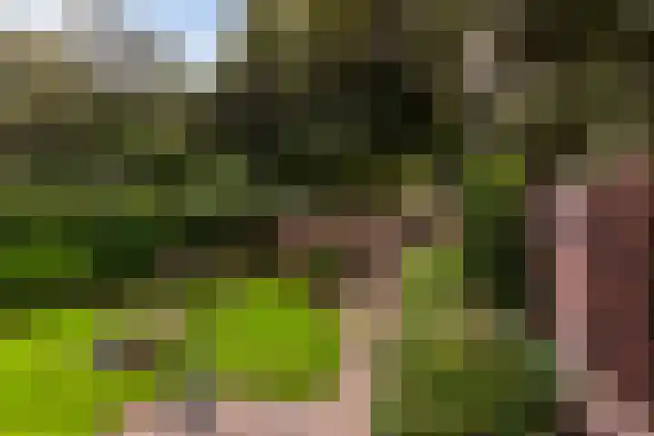 Anna van Burenplein 2 Bathmen thumbnail 22