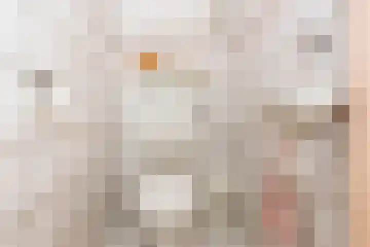 Anna van Burenplein 2 Bathmen thumbnail 9