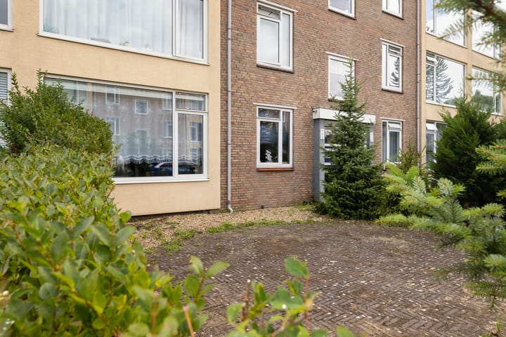 Anna van Burenstraat 14 in Dordrecht foto