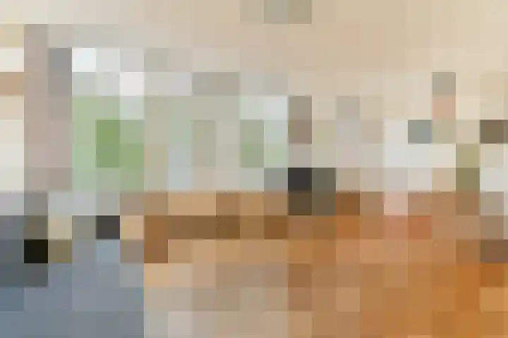 Anna van Burenstraat 17 1 en Amsterdam
