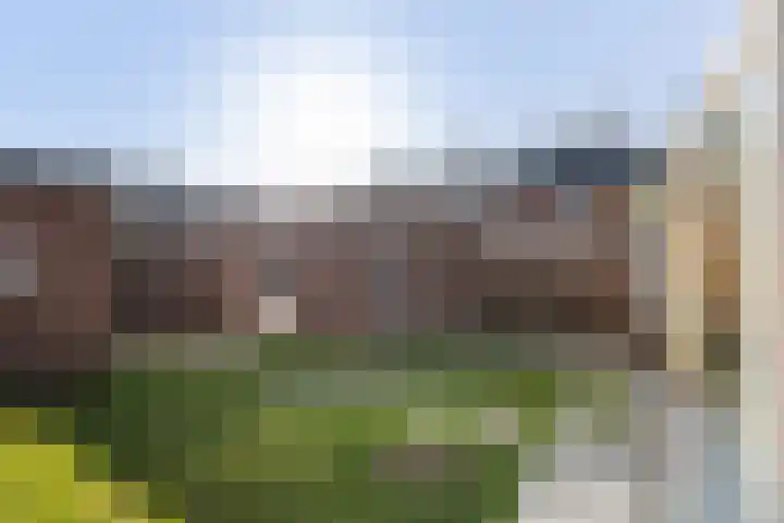 Anna van Burenstraat 2 Weert thumbnail 38