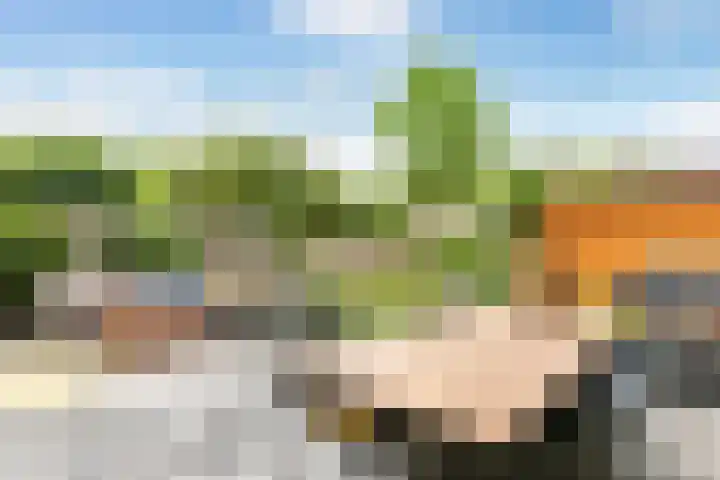 Anna van Hensbeeksingel 202 Gouda thumbnail 4