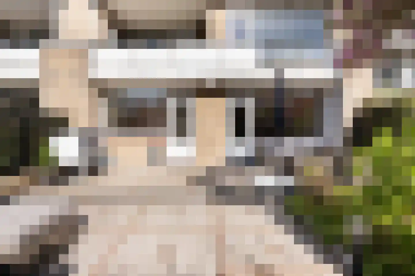 Anna van Hensbeeksingel 256 Gouda thumbnail 19