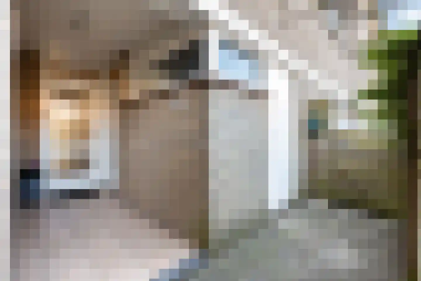 Anna van Hensbeeksingel 256 Gouda thumbnail 4