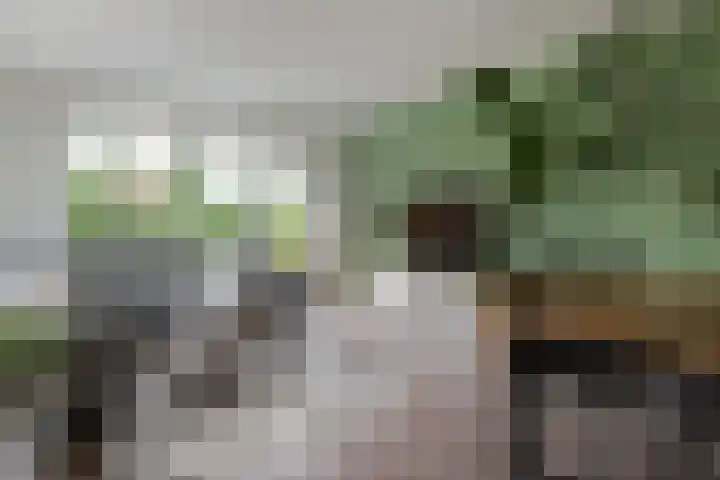Anna van Hensbeeksingel 257 Gouda thumbnail 10