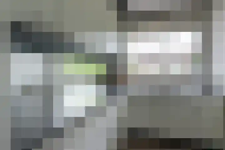 Anna van Hensbeeksingel 257 Gouda thumbnail 16