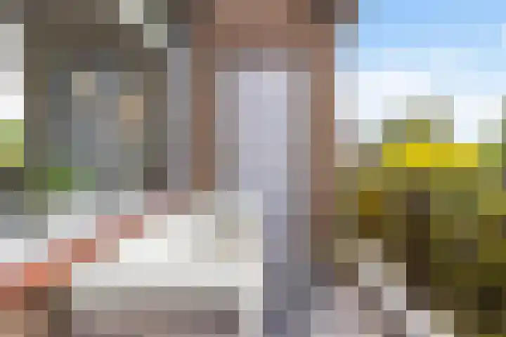 Anna van Hensbeeksingel 257 Gouda thumbnail 21