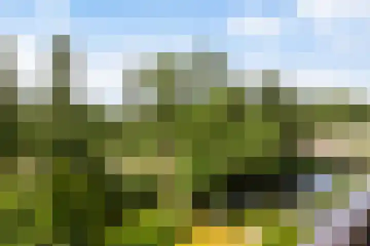 Anna van Hensbeeksingel 257 Gouda thumbnail 23