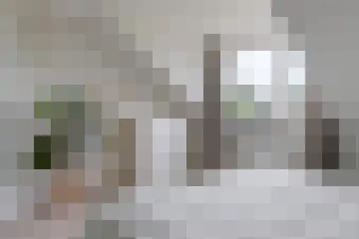 Anna van Hensbeeksingel 257 Gouda thumbnail 28