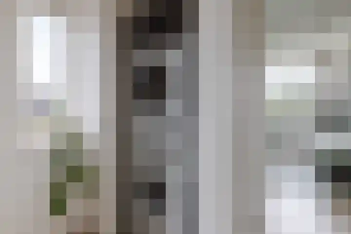 Anna van Hensbeeksingel 257 Gouda thumbnail 33