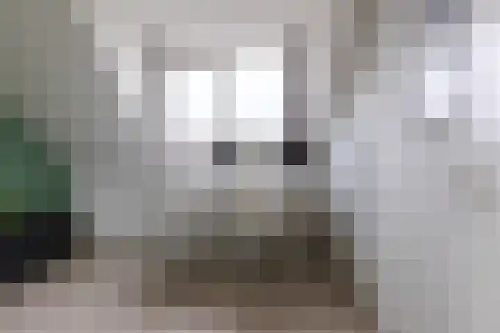 Anna van Hensbeeksingel 257 Gouda thumbnail 35