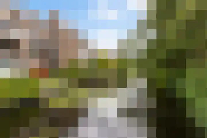 Anna van Hensbeeksingel 257 Gouda thumbnail 48