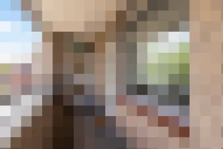 Anna van Hensbeeksingel 257 Gouda thumbnail 6