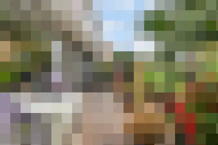Anna van Hensbeeksingel 351 Gouda thumbnail 26