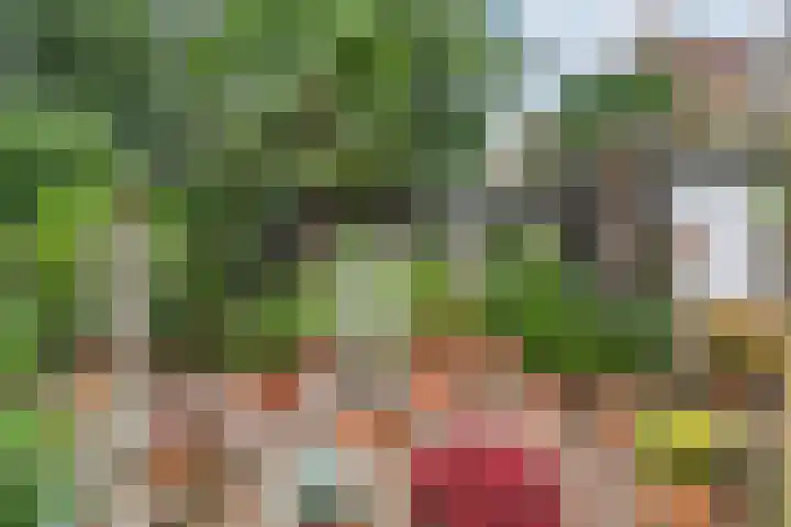 Anna van Hensbeeksingel 351 Gouda thumbnail 31
