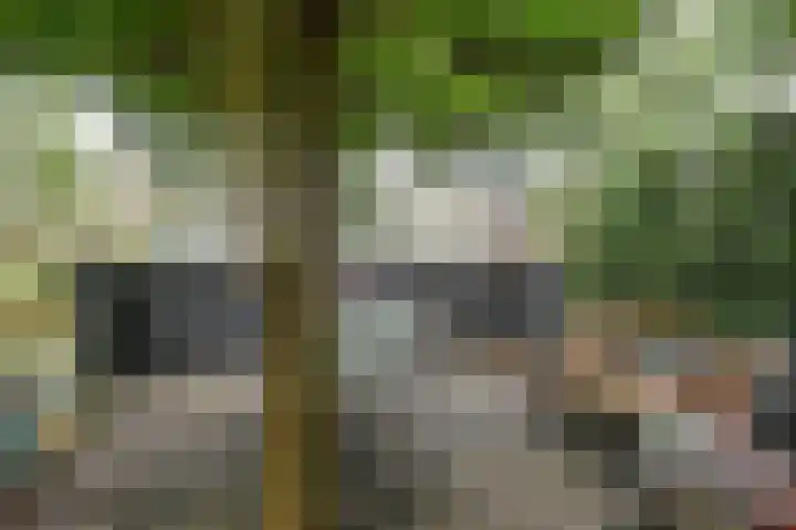 Anna van Hensbeeksingel 351 Gouda thumbnail 32