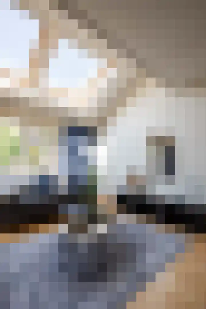 Anna van Hensbeeksingel 377 Gouda thumbnail 15