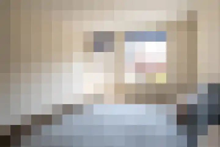 Anna van Hensbeeksingel 377 Gouda thumbnail 39