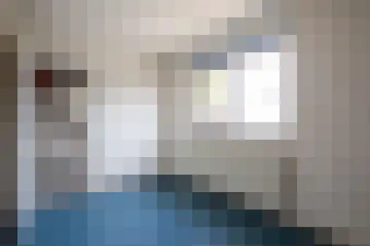 Anna van Hensbeeksingel 377 Gouda thumbnail 57