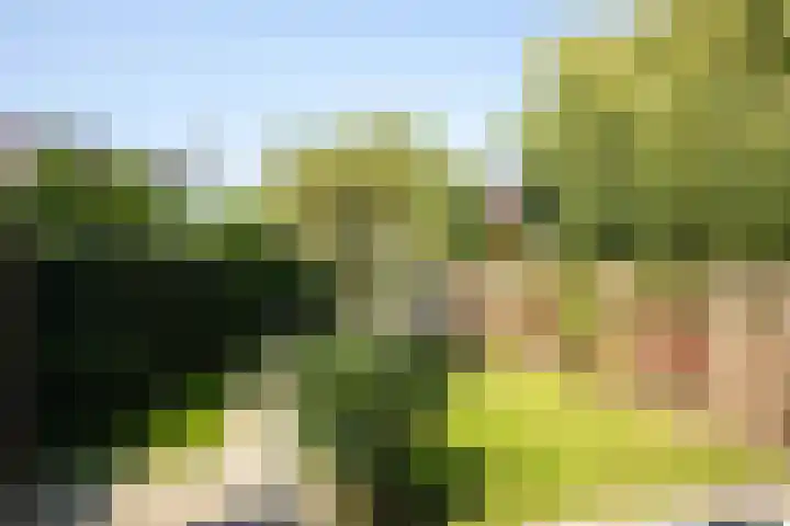 Anna van Hensbeeksingel 377 Gouda thumbnail 59