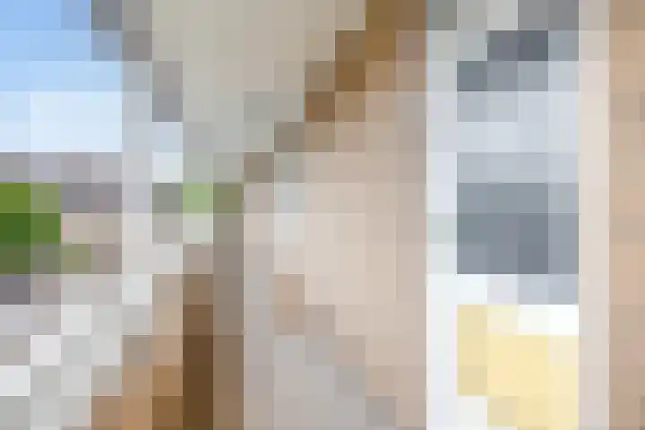 Anna van Hensbeeksingel 60 Gouda thumbnail 8