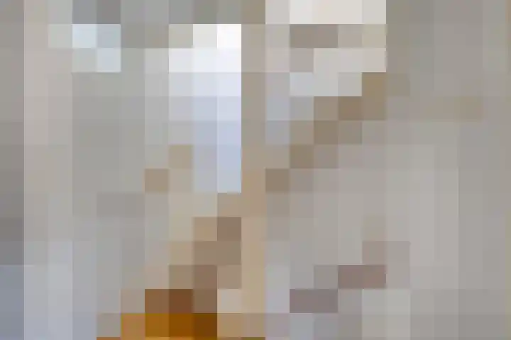 Anna van Saksenstraat 18 Pijnacker thumbnail 17