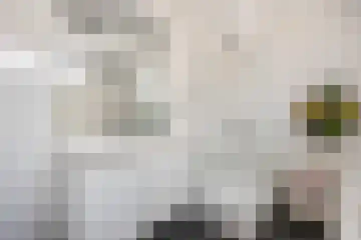 Annadaal 26 Ede thumbnail 15
