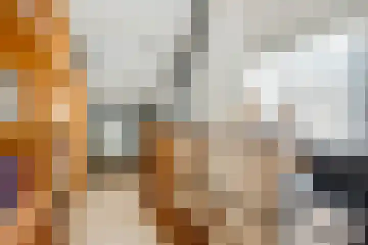 Annadaal 26 Ede thumbnail 20