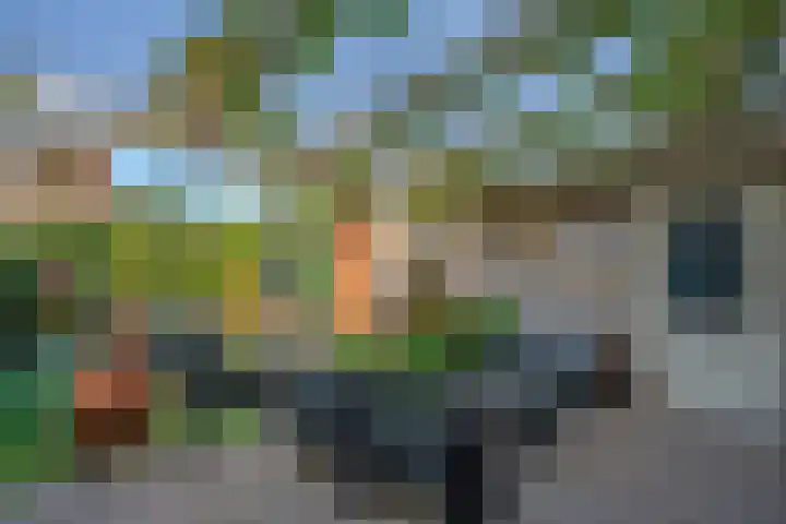 Annadaal 26 Ede thumbnail 21