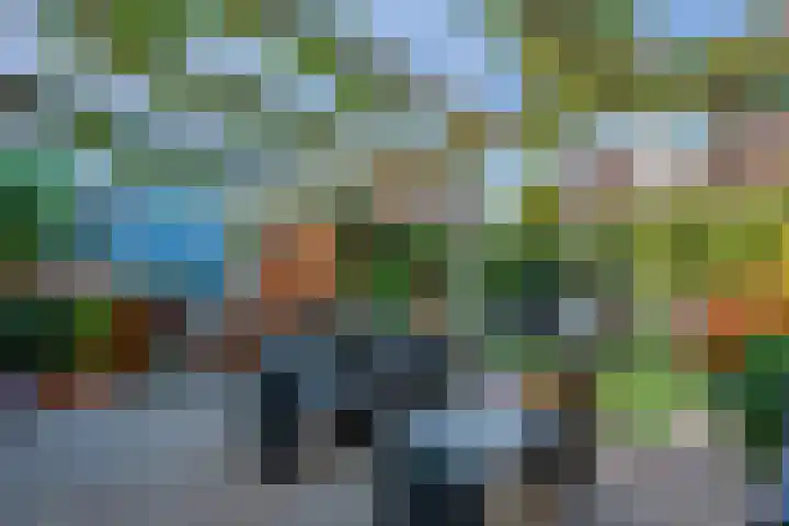 Annadaal 26 Ede thumbnail 22