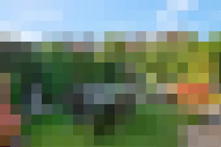 Annadaal 26 Ede thumbnail 23