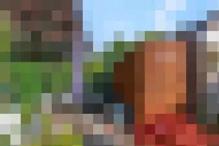 Annadaal 26 Ede thumbnail 24