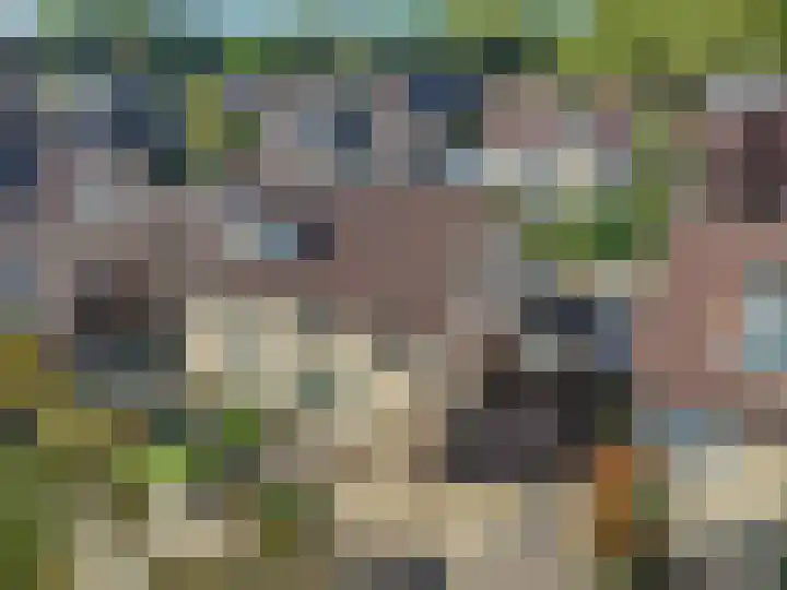 Annadaal 26 Ede thumbnail 28