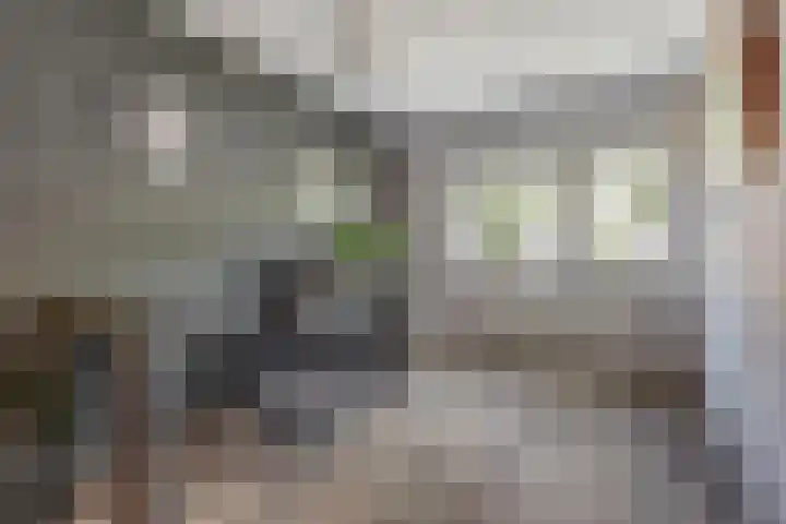 Annadaal 39 Ede thumbnail 28