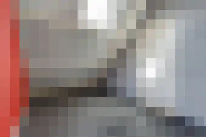 Annadaal 39 Ede thumbnail 40
