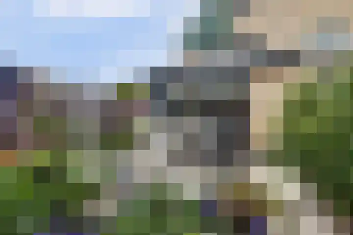 Annadaal 39 Ede thumbnail 45